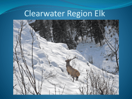 IDFG_Wolf_Elk_Presentationx - Clearwater Basin Collaborative