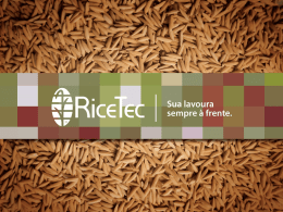 RiceTec - Cultivares lançamento safra 2015-2016x