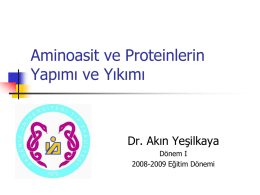 Protein Metabolizmas*