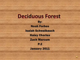 deciduous forest - narration - charles, forbes, marcum