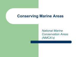 Conservation Laws and Marine Protected Areas