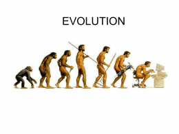 EVOLUTION   EVOLUTION Evolution means a gradual change over time. Since its formation about 4,5 billion years ago, the earth itself has changed continuously.