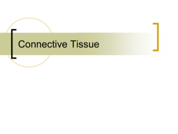 Connective Tissue   What are 6 main functions of connective tissue? 1) 2)  3) 4)  5) 6)  Structural framework for body Transportation of fluids and dissolved substances Protection of delicate organs Supports, surrounds, and.