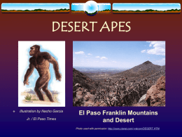 DESERT APES    Illustration by Nacho Garcia Jr. / El Paso Times  El Paso Franklin Mountains and Desert Photo used with permission: http://www.cisnet.com/~ralcorn/DESERT.HTM   Las Cruces, NM Sighting  November.