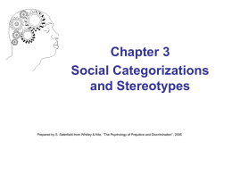 Chapter 3 Social Categorizations and Stereotypes  Prepared by S. Saterfield from Whitley & Kite, “The Psychology of Prejudice and Discrimination”, 2006   Social Categorization and.