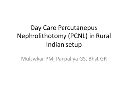 Day Care Percutanepus Nephrolithotomy (PCNL) in Rural Indian setup Mulawkar PM, Panpaliya GS, Bhat GR   • • • • •  Three patients OPD PCNL Mean op time 87 min Post-op Hospital stay.