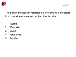 LO 2.2  The part of the neuron responsible for carrying a message from one side of a neuron to the other is.