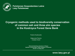 Cryogenic methods used to biodiversity conservation of common ash and three elm species in the Kostrzyca Forest Gene Bank Paulina Hrydziuszko Małgorzata Pałucka Czesław Kozioł  18th.