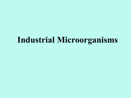 Industrial Microorganisms   Industrial Microorganisms The laws of applied microbiology (David Perlman, 1980) • The microorganism is always right ( your friend, a sensitive partner). • There.