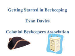 Getting Started in Beekeeping Evan Davies Colonial Beekeepers Association First Questions • How many answers do you get if you ask three beekeepers a.