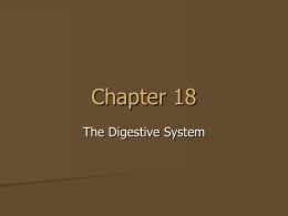 Chapter 18 The Digestive System   Ch 18.1 - Nutrition A. Your body needs nutrients found in foods 1.