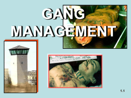 GANG MANAGEMENT  1.1   A Clear and Present Danger  A large amount of prison violence and crime is attributable to gangs although less than ten percent.