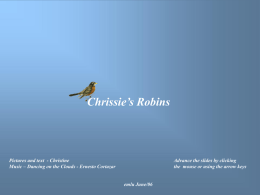 Chrissie’s Robins  Pictures and text - Christine Music – Dancing on the Clouds - Ernesto Cortazar  Advance the slides by clicking the mouse or.