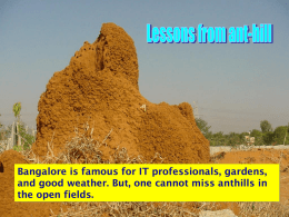 Bangalore is famous for IT professionals, gardens, and good weather. But, one cannot miss anthills in the open fields.   In the anthill, life.