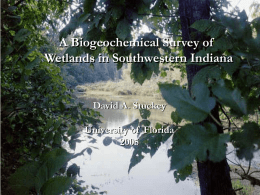 A Biogeochemical Survey of Wetlands in Southwestern Indiana  David A. Stuckey University of Florida  Wetland Functions and Benefits   Water Resources   Flood Control: Water storage  Reduce flow velocity.