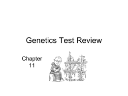 Genetics Test Review Chapter  Match the Scientists • 1. Mendel • 2. Morgan • 3.