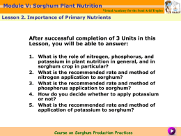 Module V: Sorghum Plant Nutrition Virtual Academy for the Semi Arid Tropics  Lesson 2.