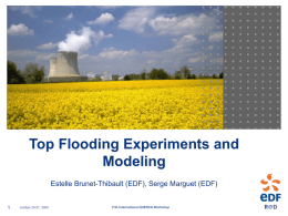 Top Flooding Experiments and Modeling Estelle Brunet-Thibault (EDF), Serge Marguet (EDF)  october 25-27, 2005  11th International QUENCH Workshop.