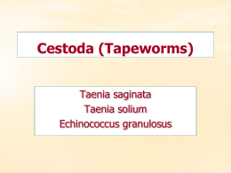 Cestoda (Tapeworms) Taenia saginata Taenia solium Echinococcus granulosus Cestoda (Tapeworms) • General characteristics *Parasitize in the small intestine of humans. * They are hermaphrodites and consist.