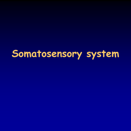 Somatosensory system   Sensory systems  2/28  • sensory systems inform CNS about the external (exteroceptors) and about the internal (interoceptors) environment • a special group is formed.