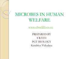 MICROBES IN HUMAN WELFARE www.cbse123.co.cc PREPARED BY S RATH PGT BIOLOGY Kendriya Vidyalaya   MICROBES        Bacteria Fungi Protozoa Certain algae Viruses viroids   USEFUL ASPECTS OF MICROBES HOUSEHOLD PRODUCTS  BIOFERTILI SER  INDUSTRIAL PRODUCTS  MICROBES IN  BIOCONTROL AGENT  SEWAGE TREATMENT  BIOGAS PRODUCTION   MICROBES IN HOUSEHOLD PRODUCTS        Production of curd from milk Check disease causing microbe.