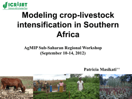 Modeling crop-livestock intensification in Southern Africa AgMIP Sub-Saharan Regional Workshop (September 10-14, 2012)  Patricia Masikati++