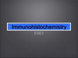 Immunohistochemistry ESE3 What is Immunohistochemistry? • a method used to detect and achieve visualization of the presence and distribution of a specific antigen in cells.