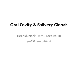 Oral Cavity & Salivery Glands Head & Neck Unit – Lecture 10   حيدر جليل األعسم . د 