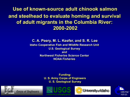 Use of known-source adult chinook salmon and steelhead to evaluate homing and survival of adult migrants in the Columbia River: 2000-2002 C.
