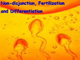 Non-disjunction, Fertilization and Differentiation   Disjunction How do chromosome abnormalities occur? Seperation of Chromosomes in Anaphase I or II of Meiosis is called Disjunction.  – Replication of.