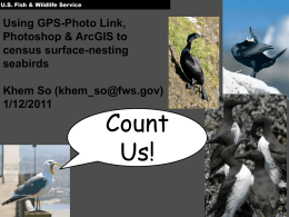 Using GPS-Photo Link, Photoshop & ArcGIS to census surface-nesting seabirds Khem So (khem_so@fws.gov) 1/12/2011  Count Us!   The old way of doing things….   Our workflow  Overview  Photograph colonies using 2 DSLRs Geotag photos using GPS-Photo.