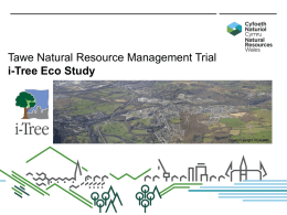 Tawe Natural Resource Management Trial i-Tree Eco Study  Crown Copyright: RCAHMW   Tawe i-Tree Eco Study  Understanding the benefits and ecosystem services trees provide society Trees are.