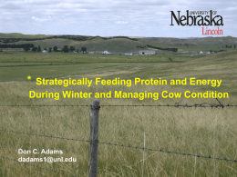 *  Strategically Feeding Protein and Energy During Winter and Managing Cow Condition  Don C.
