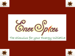 The stimulus for your Energy Initiative What spices are to food, Performance Testing is to energy management! The journey of energy conservation starts.