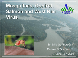 Mosquitoes, Control, Salmon and West Nile Virus  By: Dirk the “Bug Guy” Morrow BioScience Ltd. Morrow BioScience Ltd.  June 12th, 2004