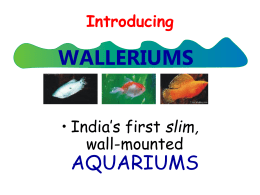 Introducing  WALLERIUMS • India’s first slim, wall-mounted  AQUARIUMS   the GenNext, state-of-art aquariums, brightly lit with sparkling clear water and virtually zerO-Maintenance • A whole new concept of dressing up your.