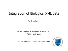 Integration of Biological XML data Ph. D. Lecture  Bioinformatics & Software Systems Lab. Woo-Hyuk Jang  Information and Communications Univ.   Where are we? Client-Side Info.