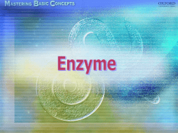 • What is an enzyme? • Enzyme actions • ‘Lock and key’ hypothesis • Effect of temperature on enzyme action • Effect of pH.