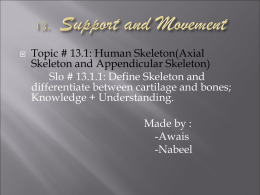   Topic # 13.1: Human Skeleton(Axial Skeleton and Appendicular Skeleton) Slo # 13.1.1: Define Skeleton and differentiate between cartilage and bones; Knowledge + Understanding. Made by.