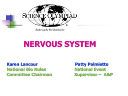 NERVOUS SYSTEM Karen Lancour National Bio Rules Committee Chairman  Patty Palmietto National Event Supervisor – A&P   Divisions of the Nervous System  Brain & Spine  Rest of Body   Neuron      Basic functional cell of nervous system Transmits impulses Three types     Sensory.