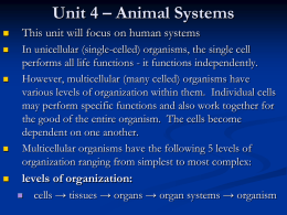 Unit 4 – Animal Systems   This unit will focus on human systems    In unicellular (single-celled) organisms, the single cell performs all life functions.