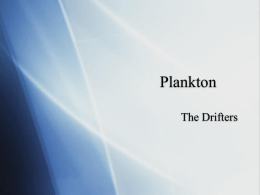 Plankton The Drifters   Two kinds of plankton  Phytoplankton (Producers)  Photosynthesis (Autotrophs)  1/2 of world’s primary production and oxygen  Zooplankton (Consumers)  Link to rest.