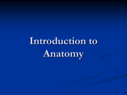 Introduction to Anatomy Purpose of Anatomy    Foundation of many healthcare professions ATC must have excellent understanding of anatomy What structures have been injured  What constitutes.