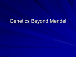 Genetics Beyond Mendel   Incomplete Dominance Phenotype is a blend of the alleles An intermediate is seen Four o’clocks  Homozygous Red  Heterozygous  Homozygous White  Sometimes written: C and C1   Incomplete.