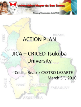 ACTION PLAN  JICA – CRICED Tsukuba University Cecilia Beatriz CASTRO LAZARTE March 5th, 2010   PROBLEM TREE Students don't use basic mathematics properly  Bad teaching training structure for Mathematics at schools in Cochabamba.  Students don't.