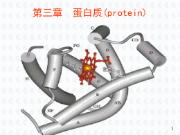 第三章  蛋白质(protein)   第三章  蛋白质(protein) (123－317页 第3，4，5，6，7章)  第一节 第二节 第三节 第四节 第五节 第六节  氨基酸 蛋白质概述 蛋白质的共价结构 蛋白质的三维结构 蛋白质结构与功能的关系 蛋白质的性质、分离与纯化   蛋白质? 存在于所有的生物细胞中，主要由20种α－氨基酸按一 定的序列通过肽键缩合而成，具有较稳定的构象，是构 成生物体最基本的结构物质和功能物质。相对分子质量 由数千到数千万。   第一节  氨基酸（amino acid）123页  一、氨基酸—蛋白质的构件分子 二、氨基酸的分类go 三、氨基酸的酸碱化学 四、氨基酸的化学反应 go 五、氨基酸的光学活性和光谱性质 go 六、氨基酸混合物的分析分离 go  结构与三字符   一、氨基酸—蛋白质的构件分子 （一）蛋白质水解  酸水解：  碱水解：  酶水解：  完全水解：混合的氨基酸  部分水解：肽段和氨基酸  （二）氨基酸的一般结构  （一）蛋白质的水解 水解类型  酸水解  碱水解  酶水解  使用试剂 H2SO4 (4M) 或 HCl (6M), 进行 回流煮沸20h  完 全 水 NaOH (5M)共煮 解 10-20h 蛋白酶  优点  缺点  无消旋作用  色氨酸(P126)被破坏，部 分丝氨酸、苏氨酸水解 (P125) ，天冬酰胺和谷氨 酰胺(P126)脱酰胺基  色氨酸稳定  大多数aa被破坏，有消旋 作用，产物为D-和L-氨基 酸混合物；精氨酸脱氨  无消旋作用，aa 不被破坏  不完全水解，需多种酶协 同作用   （二）氨基酸的一般结构 1.结构通式 H2N  COOH Cα  R  H  COO－  或  ＋  H3 N  Cα.