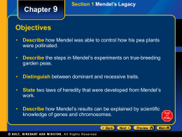 Chapter 9  Section 1 Mendel’s Legacy  Objectives • Describe how Mendel was able to control how his pea plants were pollinated. • Describe the steps.