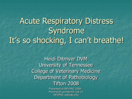 Acute Respiratory Distress Syndrome It’s so shocking, I can’t breathe! Heidi Ditmyer DVM University of Tennessee College of Veterinary Medicine Department of Pathobiology Tifton 2008 Presented at SEVPAC.