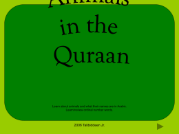 Learn about animals and what their names are in Arabic. Learn/review ordinal number words.  2006 Talibiddeen Jr.   If animals in the Quraan were.
