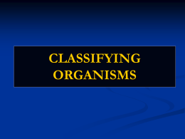 CLASSIFYING ORGANISMS Why classify? Say you have only 10 minutes to run into a supermarket to get what you needed.